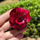 1 + 2 GRATIS HEUTE | PetalAura™