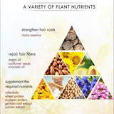 1+1 GRATIS | InstantSilk 5™ Verwandeln Sie geschädigtes Haar mit der InstantSilk 5™ Haarmaske in seidig-glänzendes Haar