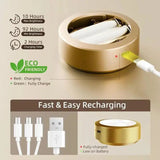 1+1 GRATIS | Magnetic LED Bilderleuchte™ — Müheloser Glanz, der Ihre Kunst zum Leben erweckt