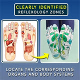 1+1 Gratis | Zenfeet Socken™ - Akupressur Reflexzonenmassage Socken