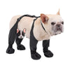 PawGrip™ | Wasserdichte Hundestiefel mit Gummisohle