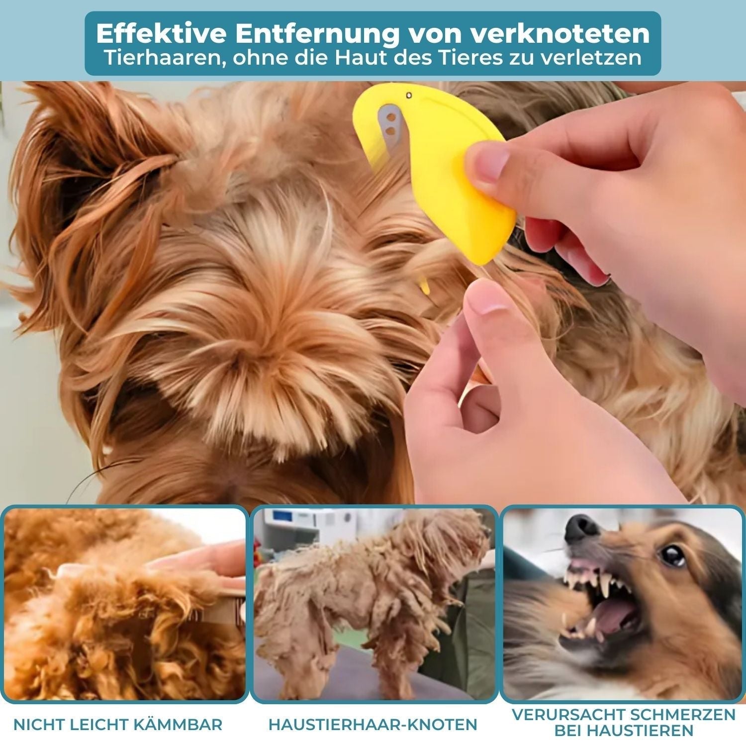 PetSanity™ | Milbenentferner für Katzen und Hunde