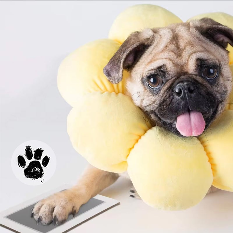 💖🐶🐱Pfotenabdruck-Kit