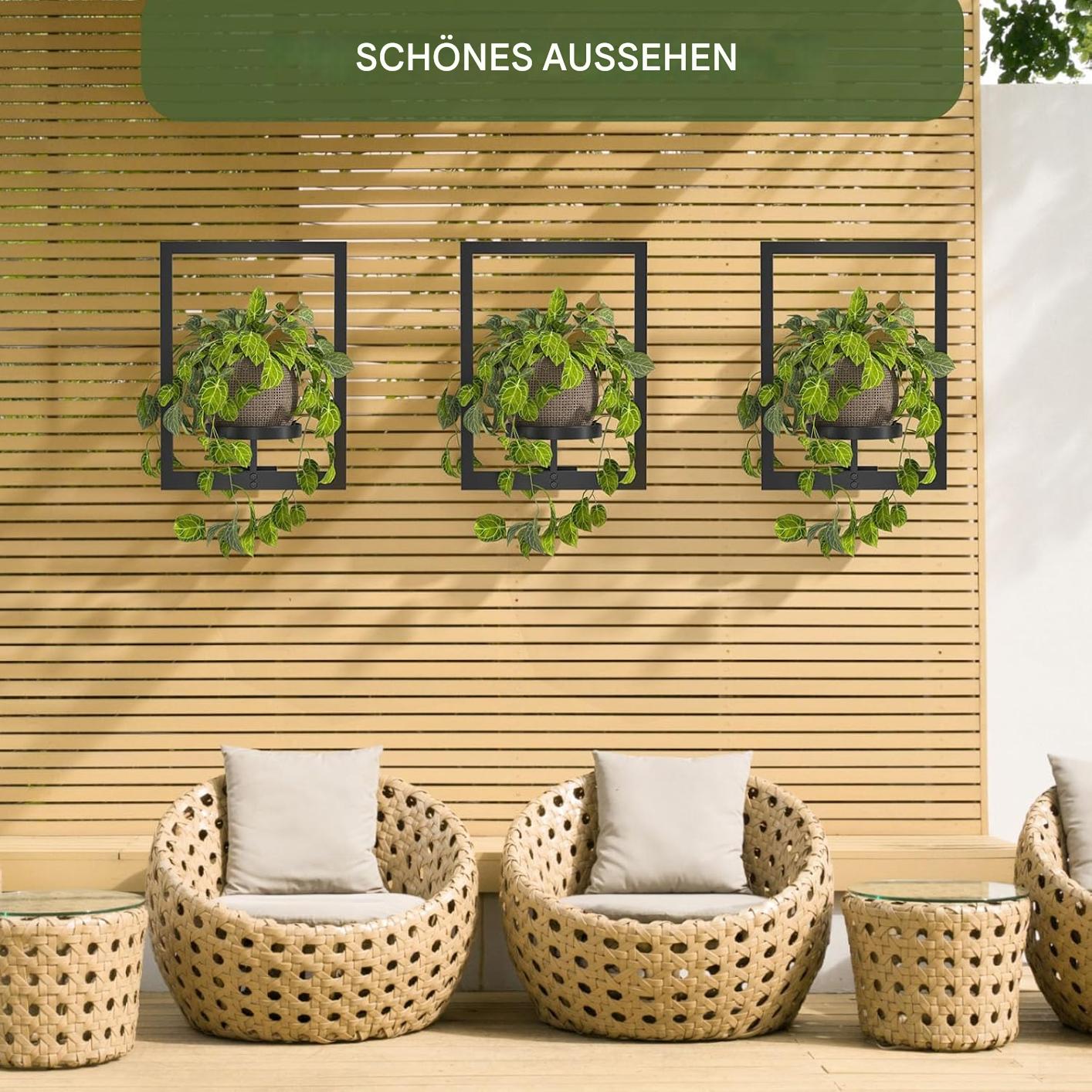 Plantify™ - Es ermöglicht Ihnen, Pflanzen, Kerzen und Fotos vielseitig mit einem einzigartigen Wandaufhänger zu präsentieren