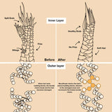 1 + 1 GRATIS HEUTE | Tressence™