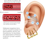 1+1 GRATIS | LymphEars™ Sanfte Ohrakupressur hilft beim Stressabbau und fördert die Entspannung