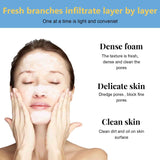 5+5 Gratis | DeepPurify™ Klärendes Serum — Löst Mitesser für Glatte, Strahlende Haut