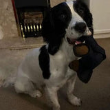 BearTough™ – Unzerstörbarer Spaß für einen glücklichen und gesunden Hund