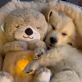 Beruhigender Begleiter für Haustiere | Herzschlag-Simulation | Weiches Plüschdesign | SnugPet Kuscheltier