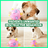 BounceBark™ – Der Ball, der Langeweile vertreibt