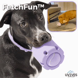 FetchFun™ | Tennis Hundekauspielzeug