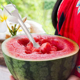 FruchtPro™ | 2-in-1-Obstschneider aus rostfreiem Stahl