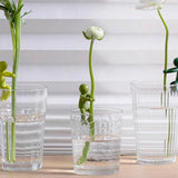 GrowMate™ Pflanzenvermehrungshelfer — Unterstützen Sie Ihre Pflanzen dabei, jeden Tag größer, kräftiger und schöner zu wachsen (3 Stck.)