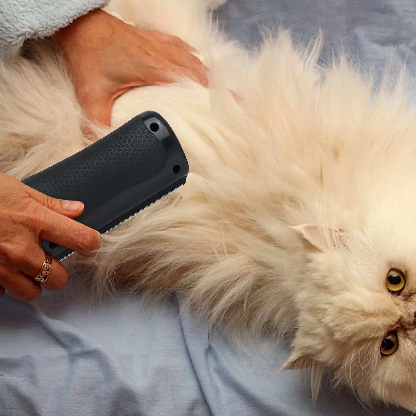 HairSwipe™ - Sorgt für sanfte Fellpflege für glückliche Haustiere