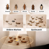 Kakerlakenköder | Langzeitwirkung | Haustiersicher | RoachGuard