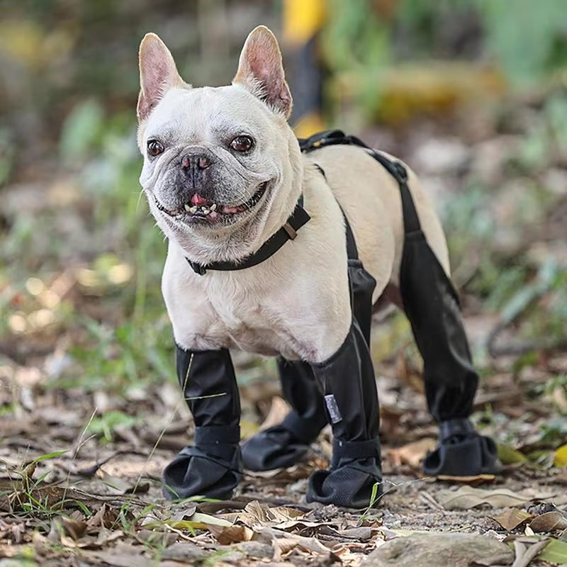 PawGrip™ | Wasserdichte Hundestiefel mit Gummisohle