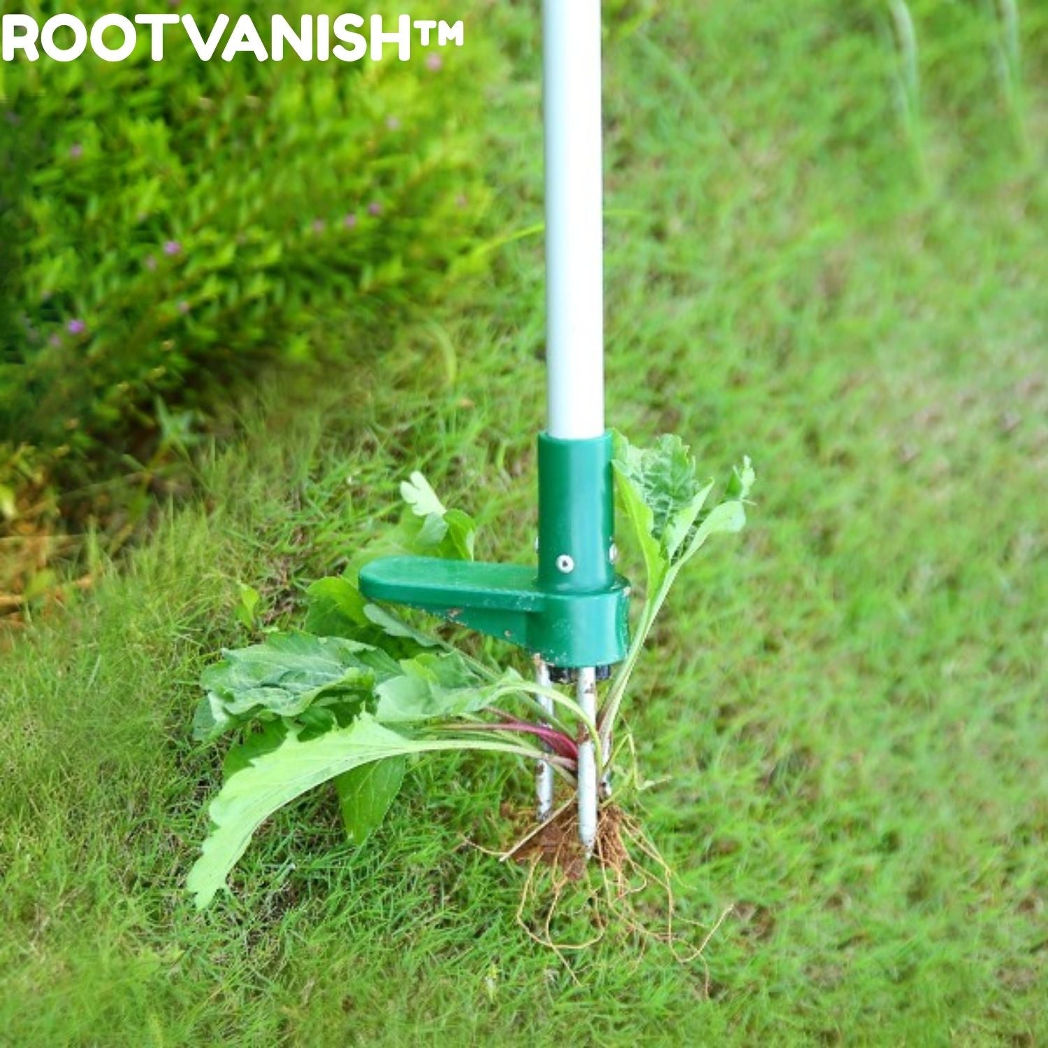 RootVanish™ - Stehende Pflanze Wurzelentferner