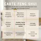 Arbre de Vie 7 Chakras – Équilibre Énergétique - Biloria