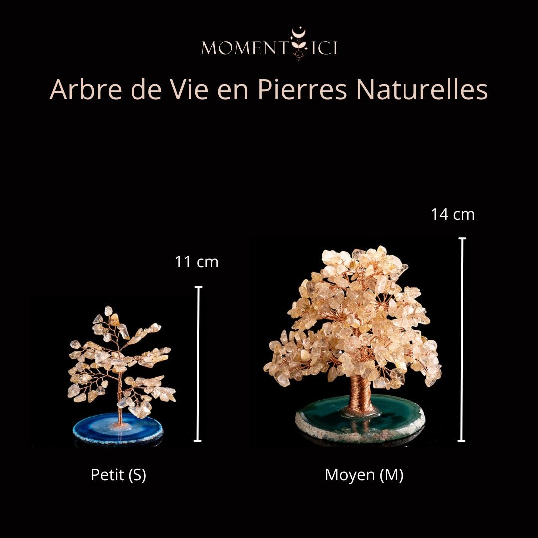Arbre de Vie Quartz Rutile Agate | Bien-être et Décoration - Biloria